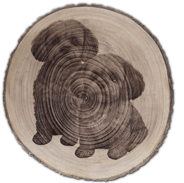 Rondin de bois gravé au laser par CraftLasArt